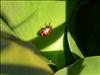 Jardin Botanico (9)